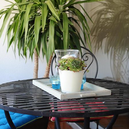 Apartment Zoe Zadar Dış mekan fotoğraf